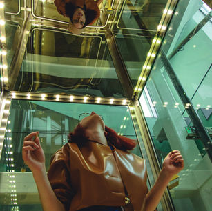 Un selfie dans l'ascenceur avec son chien n'est pas protégeable par le droit d'auteur