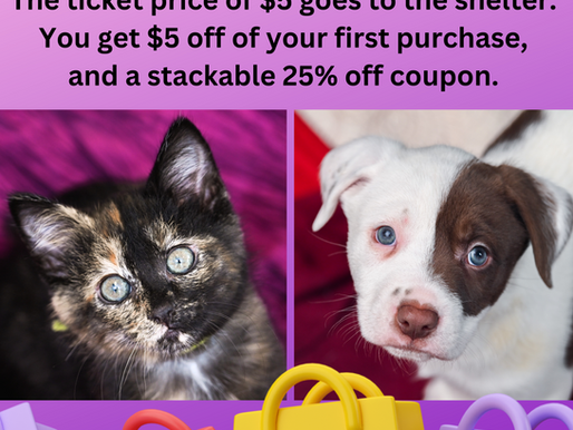 Shop at Belk June 7-9, 2024