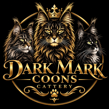 file_00000000e9ec81f5b96c820d8dea9540.png