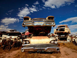 Forest Punk goes America