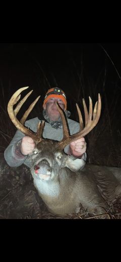 Illinois Whitetail Deer Hunting