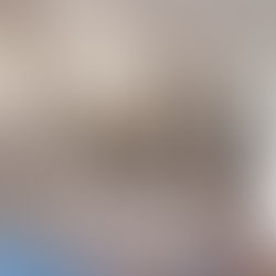 Custom Cabinetry Solutions| Charlotte, NC