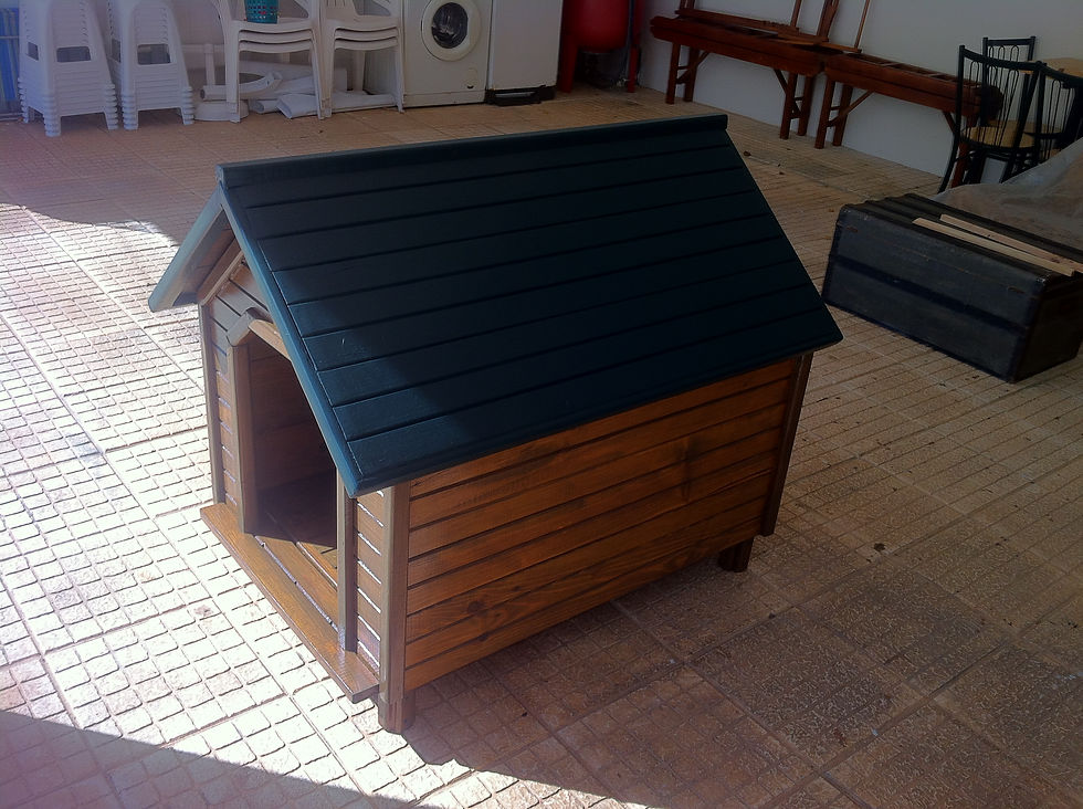 Casa para Cão