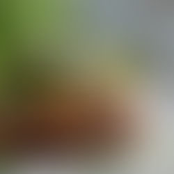 We plan to bring spring to the table with bright greens, fresh herbs, lemon, and lighter toppings la