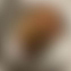 For fall, we imagine a harvest-inspired spread with roasted vegetables, earthy spices, and hearty to