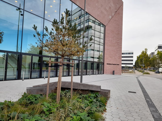Bahnstadt - Heidelberg's youngest district designed for innovation