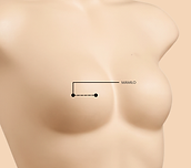 gabi piercer  piercing  perfurações (19).png