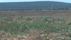 Rancho 152 hectáreas