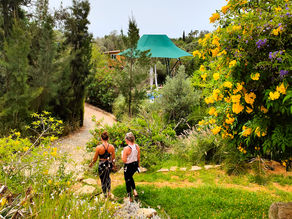 Rediscover Yourself at an Aerial Retreat in Portugal: The Benefits of Aerial Retreats