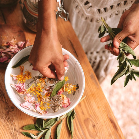 The Power of Plant Medicine