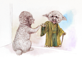 DAI HUNG_YODA copy.gif