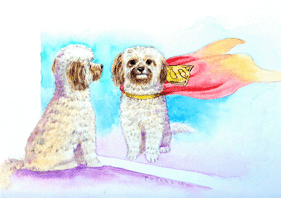 KODA_SUPERDOG copy.gif