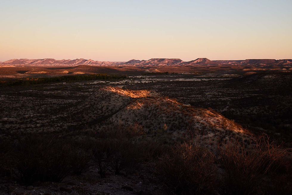 Baja California Landscape by Cosimo Salvati