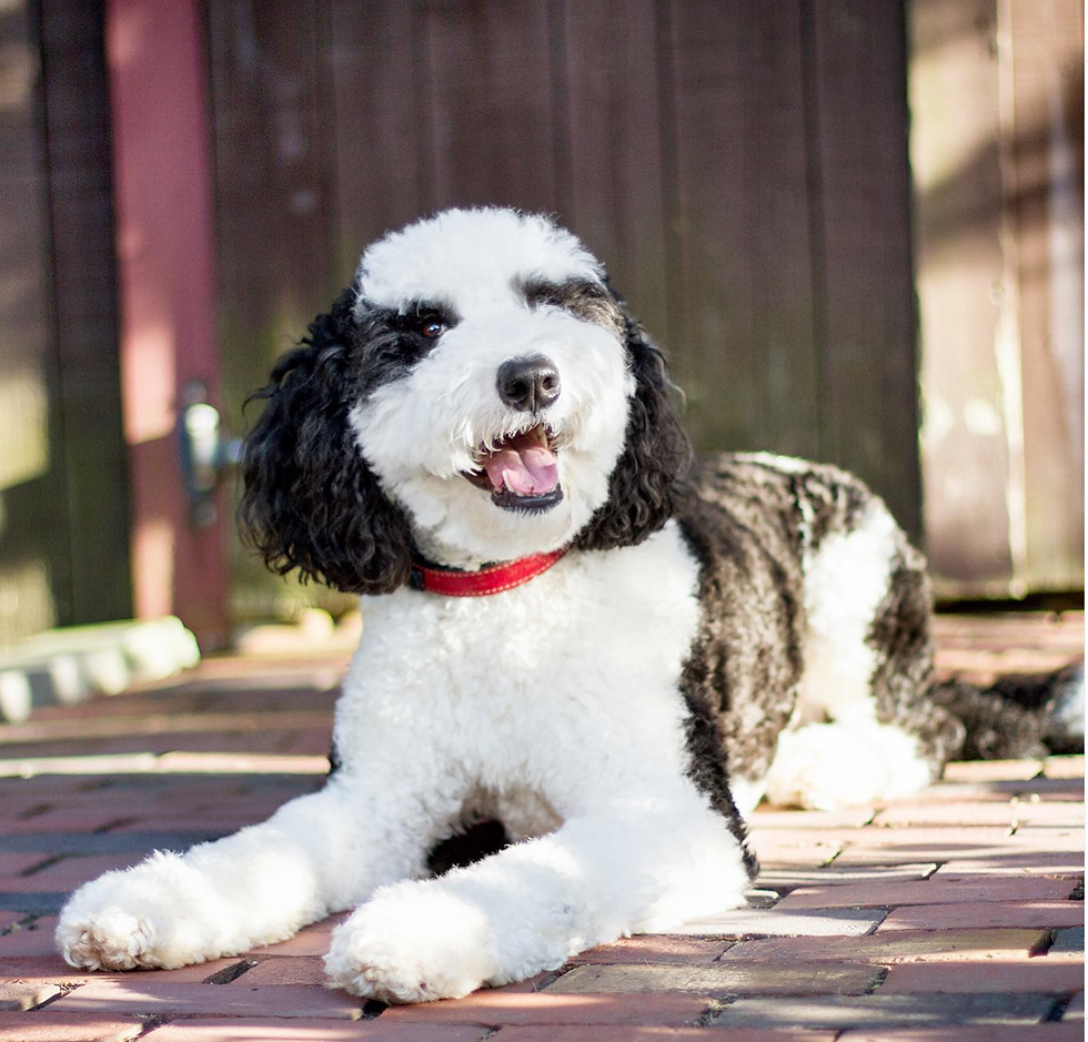 Screen Shot 2025-05-27 at 6.26.46 PM