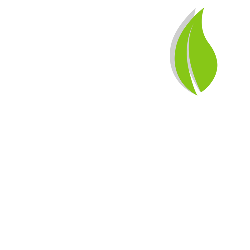 17 ORANGE