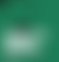 Código dos homens honestos