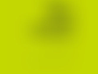 Amai e... não vos multipliqueis