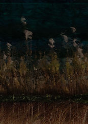 ZOOM OUT ISSUE 4.jpg