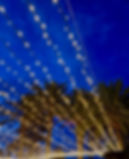 524e89d8-467c-45df-91c6-28dd408f0ec8_edited.jpg