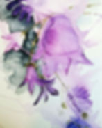 Bluebells | Sinikellot