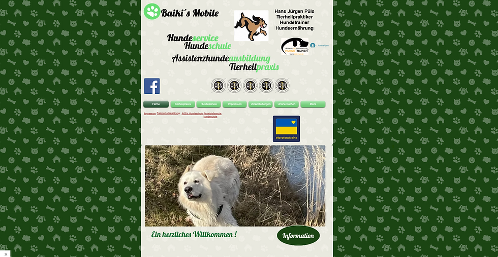 Vorher-Nachher Vergleich einer Website – Redesign durch HT WebMedia