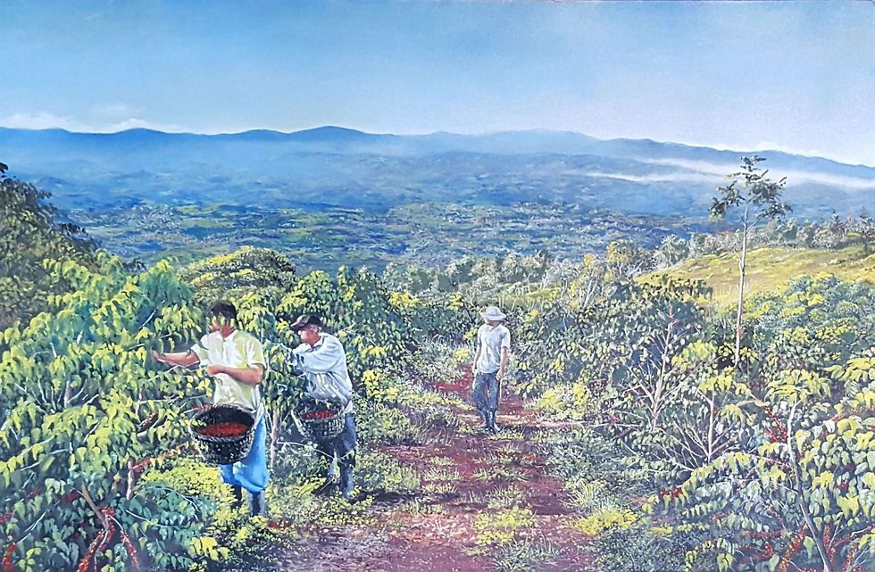 cafetal