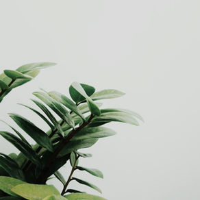 A Breakdown of Roofing Sheet Prices: What to Expect