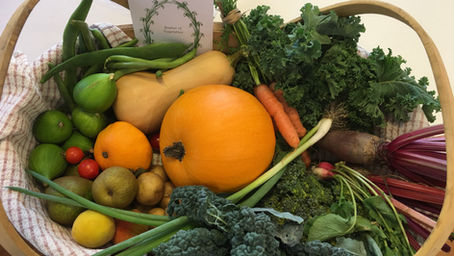 NOVEMBER 2020 NEWSLETTER