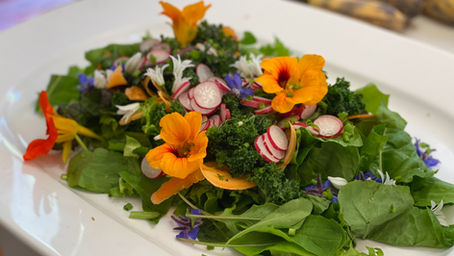 FEBRUARY 2021: SUMMER IS IN FULL SWING!