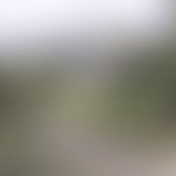 Out and about this summer