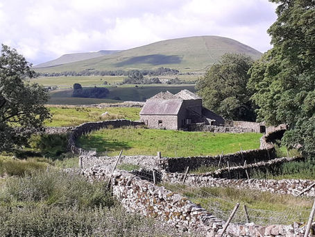 Out and about this summer