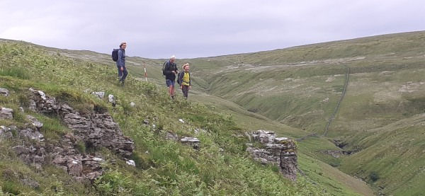 Landscape survey underway 