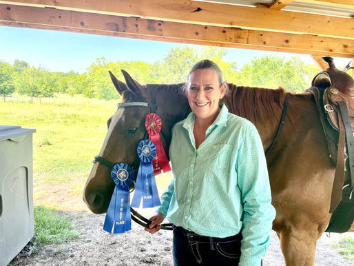 Compete from Anywhere: The World of Online Horse Shows