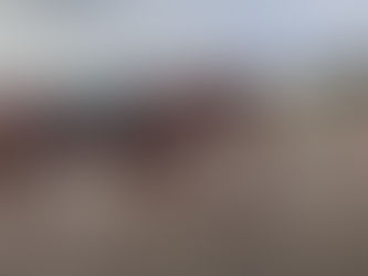 Building the Foundation: The Crucial Role of Groundwork in Horsemanship