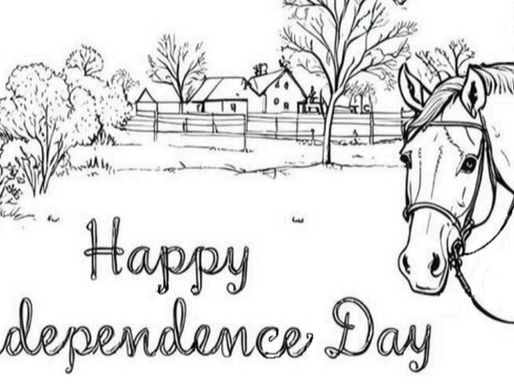 July at Texas Equine: A Splash of Color and Summer Fun!