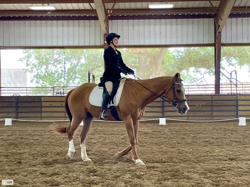 The Importance of Proper Attire in Equestrian Riding: A Guide by Texas Equine