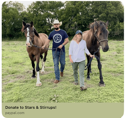 Donate to Stars & Stirrups