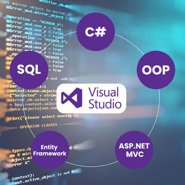 C# .Net Developer