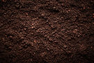 AdobeStock_92059706 (1).jpeg