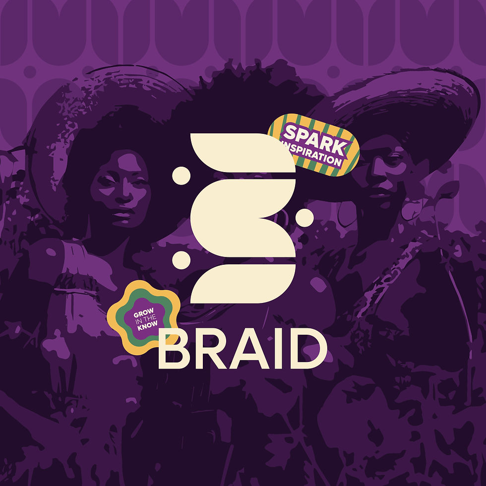 BRAID_Visual_educate3.jpg