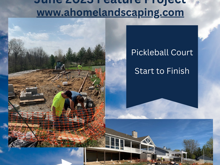 Calling all pickle ball enthusiast!!!