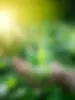Sustainability Banner