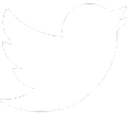mv-icon-19.webp