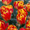 Thumbnail: Tulip Banja Luka