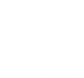 2 Blood Vessels.png