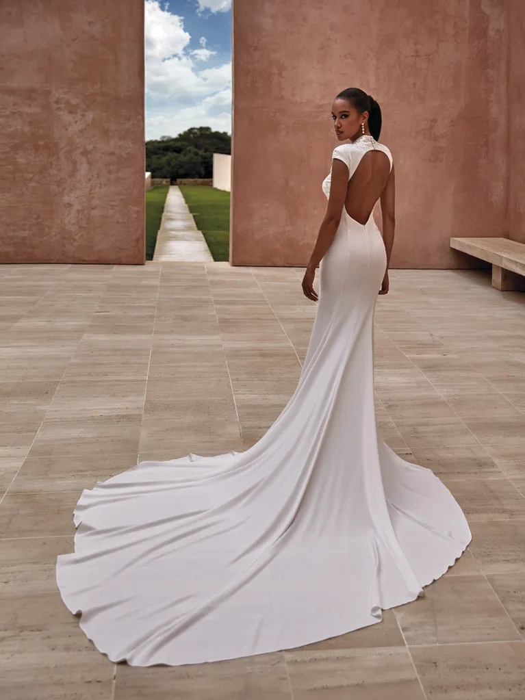 Pronovias Wedding Dress - Nihi