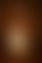 2025年ありがとうございました