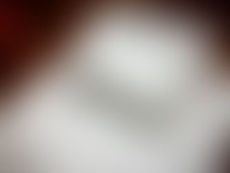 東京から、わざわざ