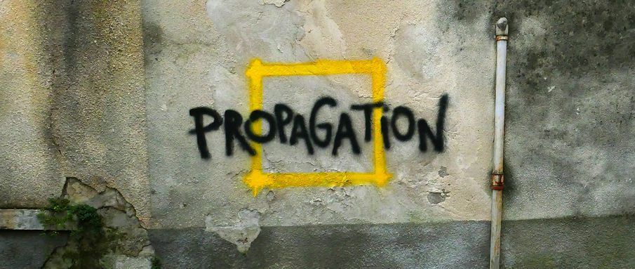 P1020039_edited.jpg