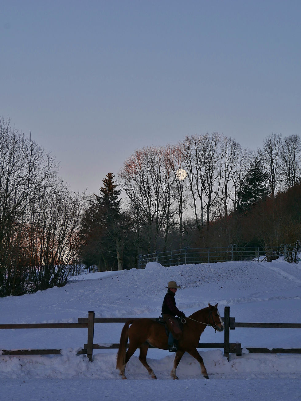 Bonne année / Happy New Year